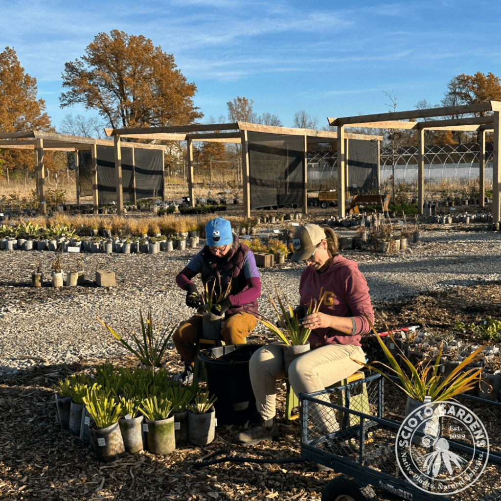 Michelle & Leah are putting plants away for winter.